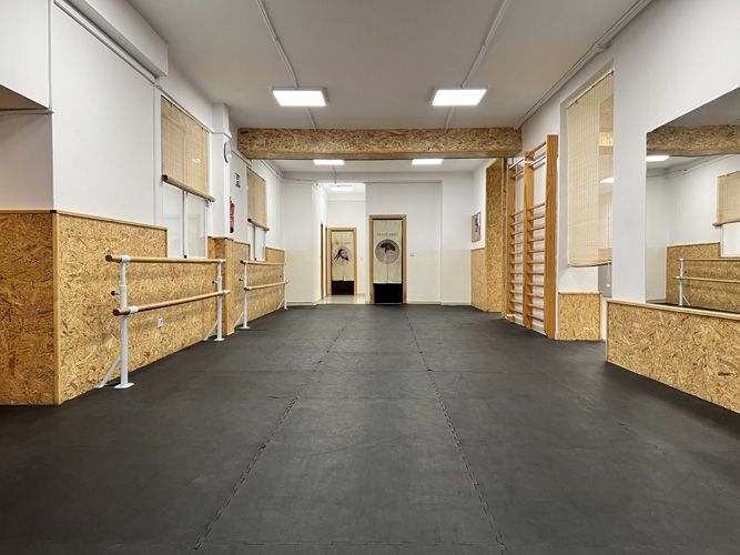 escuela_shaolin_madrid